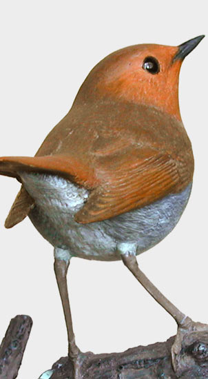 コマドリ(駒鳥)Larvivora akahige(旧 Erithacus akahige)